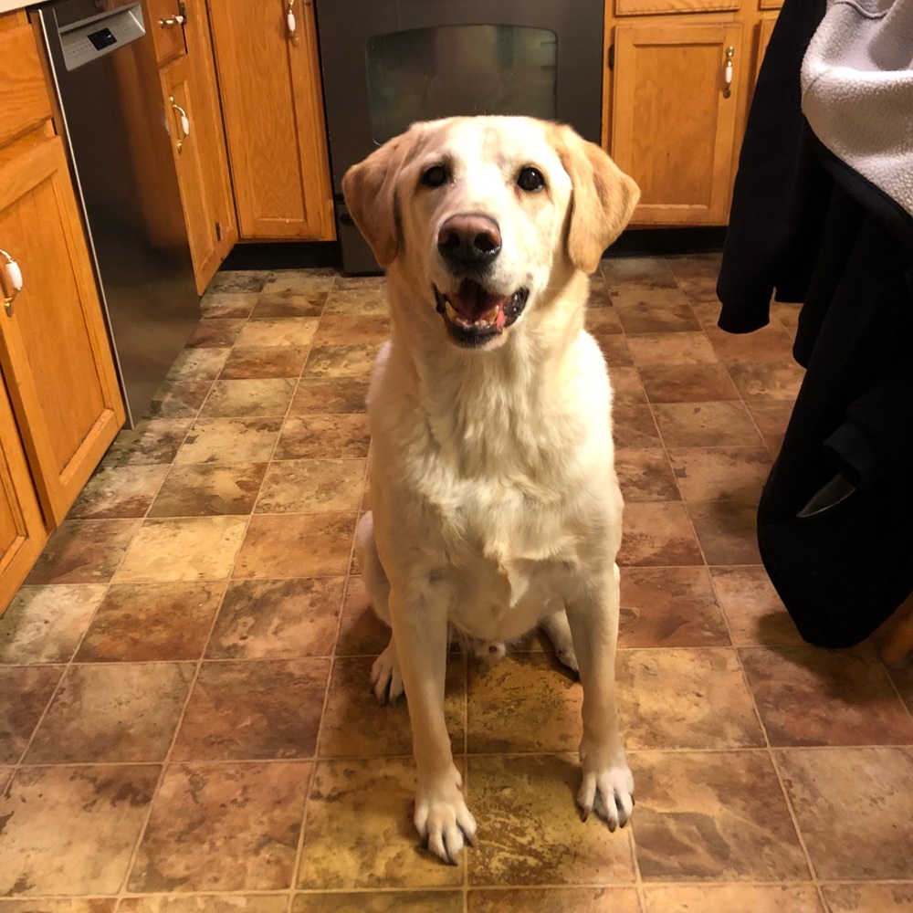 Meet your Posher, Jill
